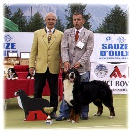 ALPENLIEBE  - Raduno Salice D'Ulzio 07  17   - 1 EXC , CAC  