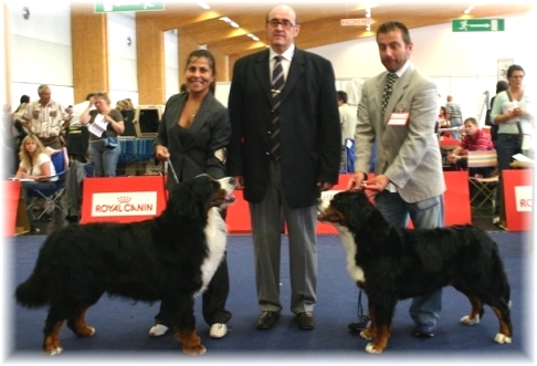 Cacib- Innsbruck ( BOB Hermangruver e BOS Alpenliebe )