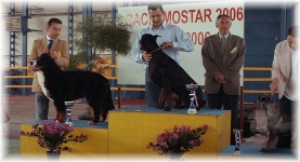 CAC  MOSTAR (BiH) 2° ASSOLUTO  DEL  GRUPPO 2