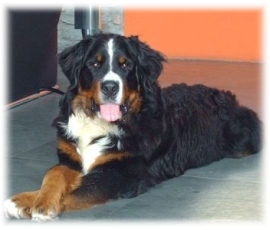 CESARE a 11 mesi