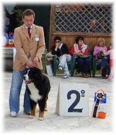 CONTE SERK - Cac Siena 2° BOG
