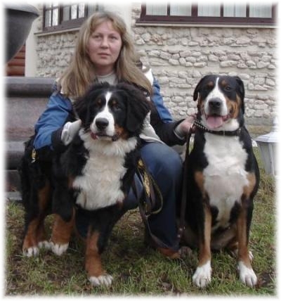 CHILI PEPPER   a  6 MESI   INSIEME A SVETLANA ( Allevamento Alert Escort ) E A MARTA 