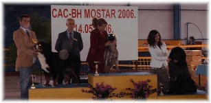 CACIB MOSTAR (BiH)  2° ASSOLUTO DEL GRUPPO  2