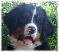 EDNA ROSE  a  3  Mesi