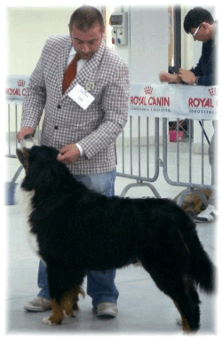 DYLAN DOG a Pescara