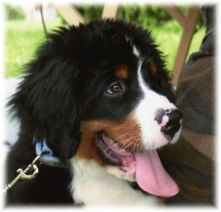 3 mesi / 3 months
