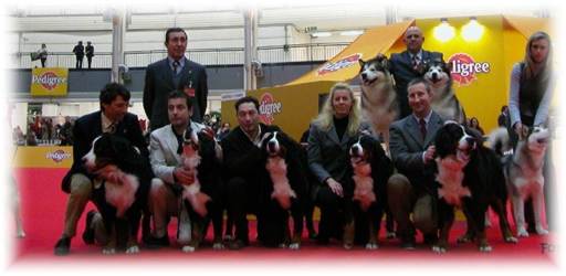 Cacib Milano - 2 Gruppo Allevamento Antichi Mulini