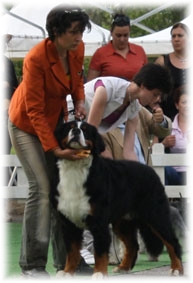 FRANKIE a 10 Mesi