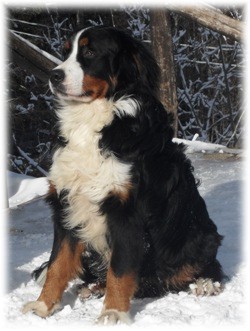 HOBSON'S CHOICE  ... 8 months !!!!!