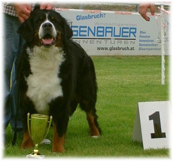 ALPENLIEBE 1° Ecc , Cac , Best Female , BOB