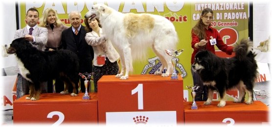 MS Padova - ALPENLIEBE 2° BIS VETERANI