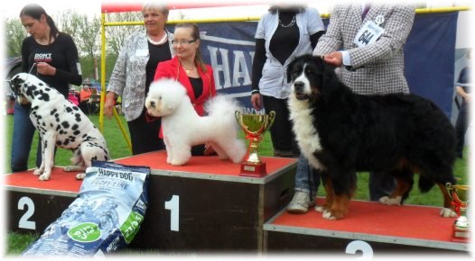 Cacib Pohorje - 3° BIS VETERANI