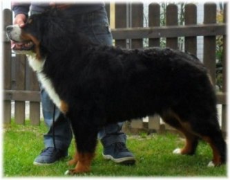 LUCY VAN PELT a 10 mesi / 10 months