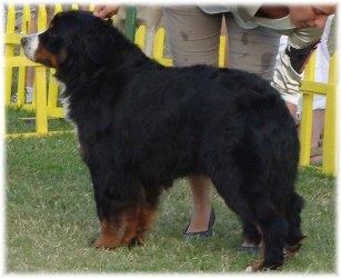 LUCYVANPELT - Campione di Montenegro