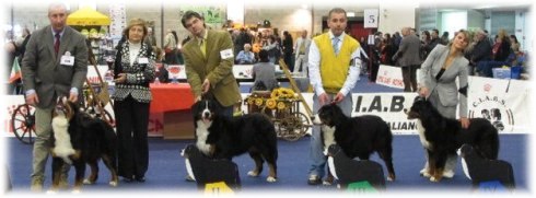 Specialty BMD's Arezzo / JOJOLUNA 3° eccellente