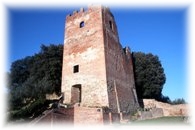 FUCECCHIO - LA TORRE