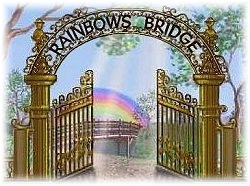 RAINBOWS   BRIDGE