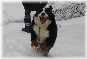 DANA sulla neve  a 2 anni