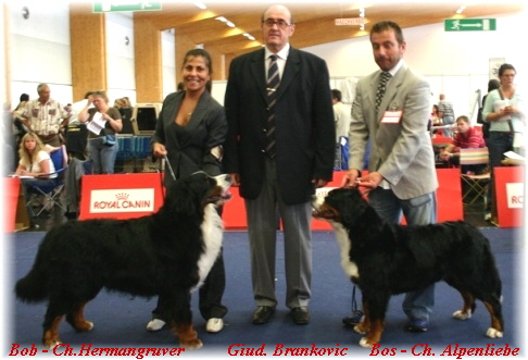 Bob - Ch.Hermangruver          Giud. Brankovic     Bos - Ch. Alpenliebe